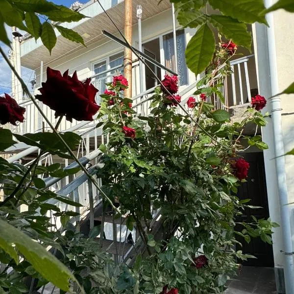 Center, hotel v destinaci Goris