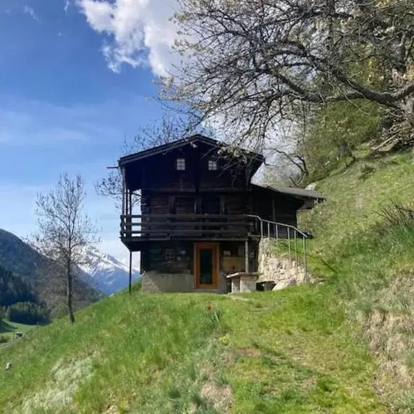 Chalet in Niederwald, hotel en Niederwald
