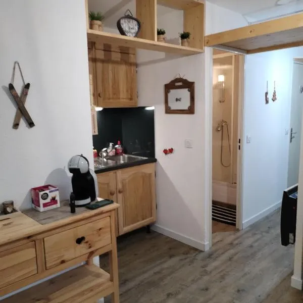 magnifique studio tout confort 24 m2 pied des pistes, hotel em Allos