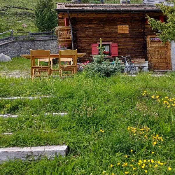 Chalet Renzo Livigno Il lusso del silenzio, hotel a Livigno