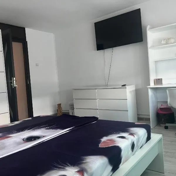 Erinati, hotel v destinaci Sulina