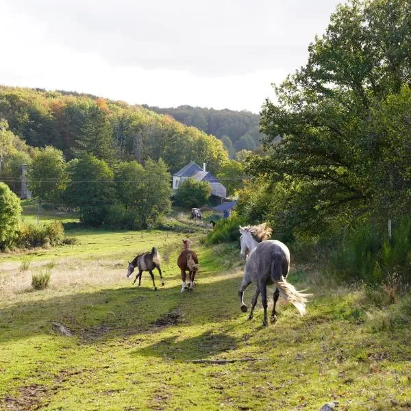 Ferme Équestre Equi'Cantal, hotel v destinácii Montboudif