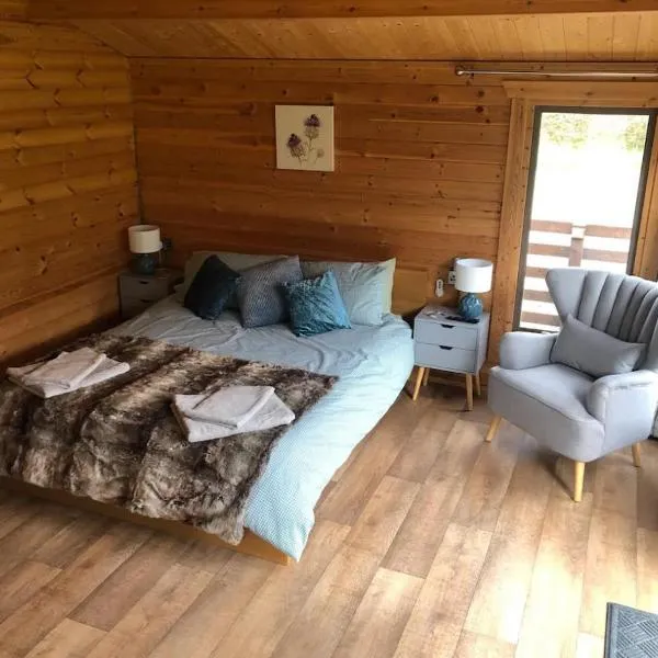 Backieley Lodge, hotel v destinaci Huntly
