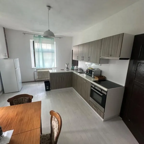 Bytový dům na horách, hotel ve Vejprtech