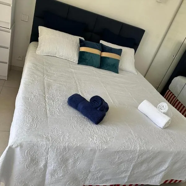 Super Apartment, Parking, Terrace, Lift, WIFI, Palm Beach, Cannes, hotell i Cannes