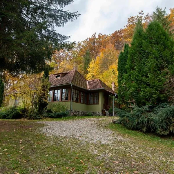Esigman - log cabin in Transylvania, hotel in Filia