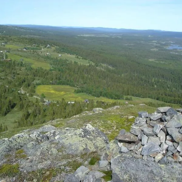 Hytte på fjellet, med mange turmuligheter !, hotel in Gol