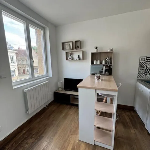Studio cosy - Hyper centre, hotel in Valenciennes