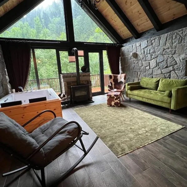 AYDER VANAK STONE SUİTES, khách sạn ở Ayder Yaylasi