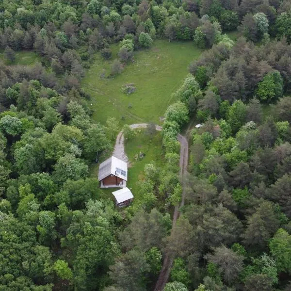 Podklanci-house in the forest, hotel v destinaci Knežak