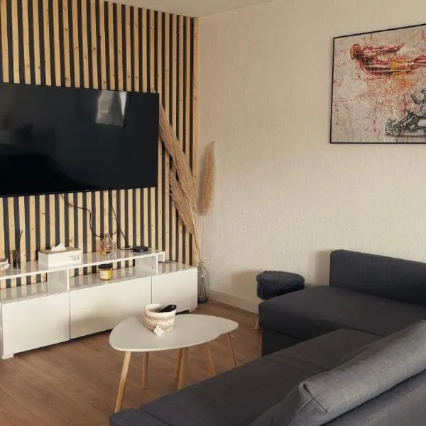 Appartement T3 Clermont-Ferrand, hotel in Clermont-Ferrand