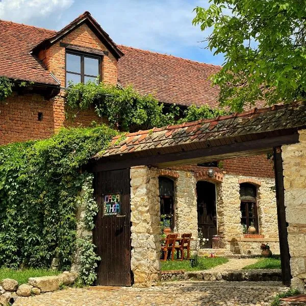 Casa Thea Cheile Nerei, hotel v destinaci Socolari