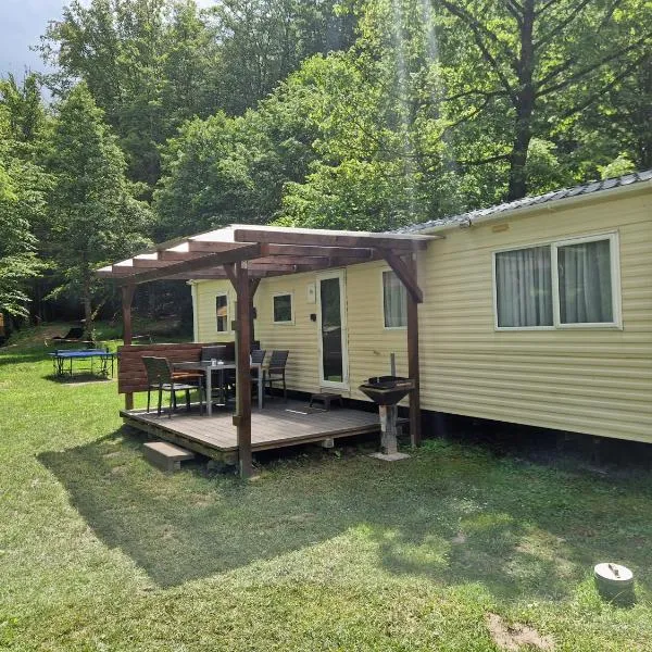 Ferienhaus direkt am See Mobilheim am Schönsee, hotel v destinaci Urnshausen