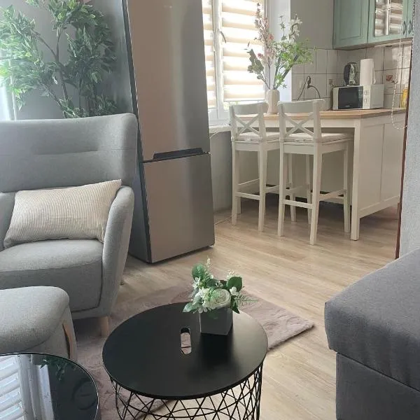 Tiny Studio Pyskowice with parking, hotel v destinaci Pyskowice