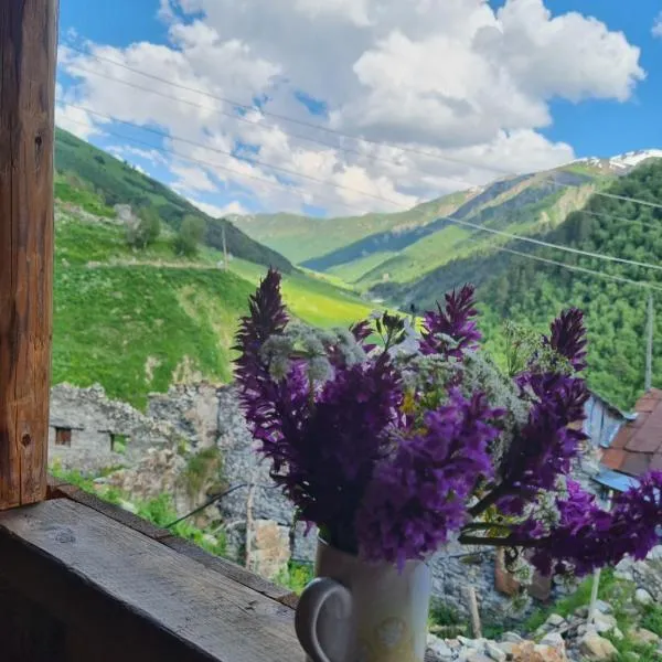 Koba Qaldani's Guest house, hotel a Adishi