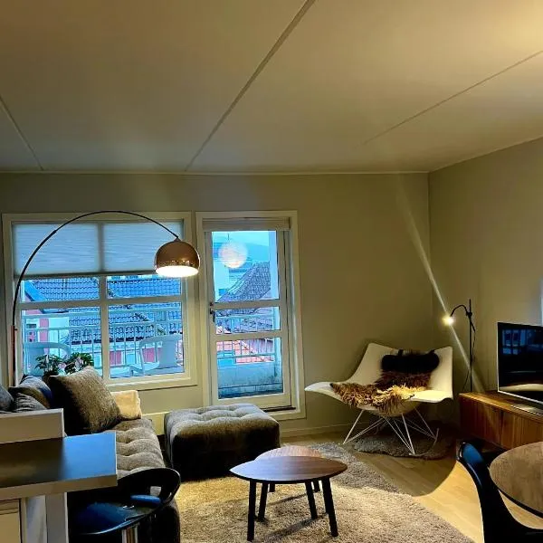 Luxurious apartment in the heart of Bergen, viešbutis Bergene