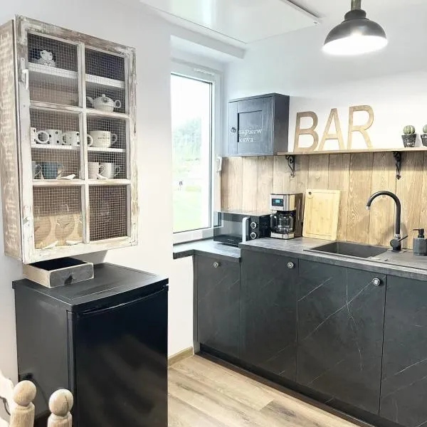 Apartament Antracytowe Wrota, hotel v destinaci Boguszów-Gorce