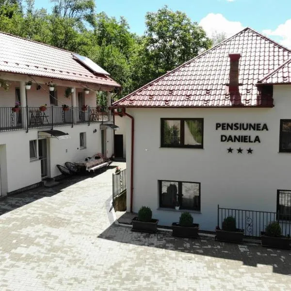 Pensiunea Daniela, hotel in Moisei