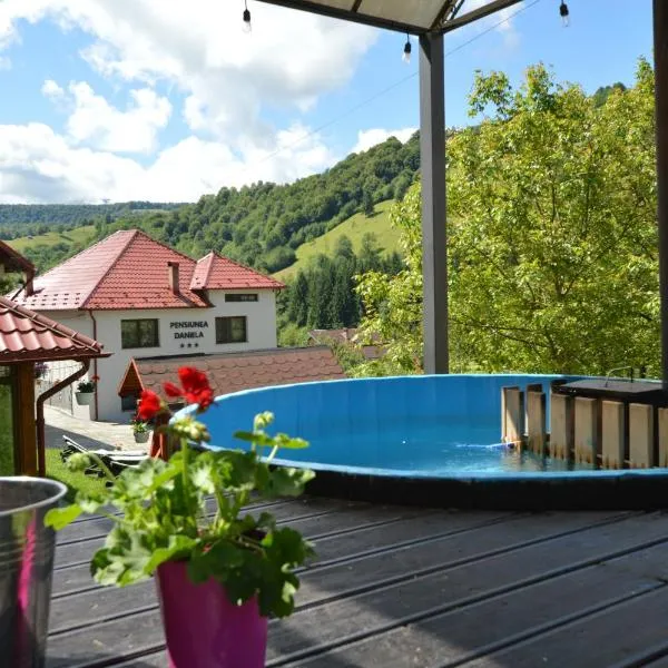Viesnīca Pensiunea Daniela pilsētā Moiseja