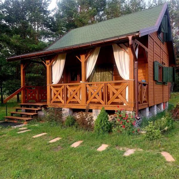 Domek w Sosnach, hotel v destinácii Błonie