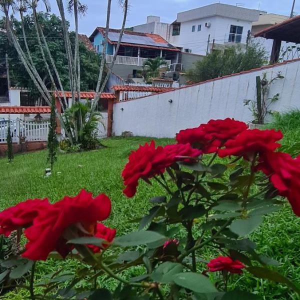 Red Rose