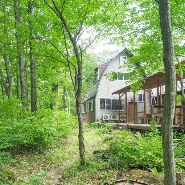 Nasu-gun - House - Vacation STAY 9032, hotel v destinaci Anazawa