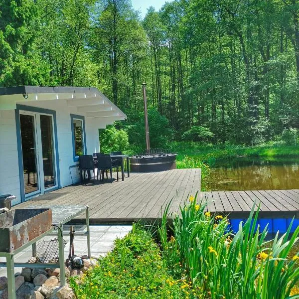 Reed Cottage, hotel in Dzenkuniskes