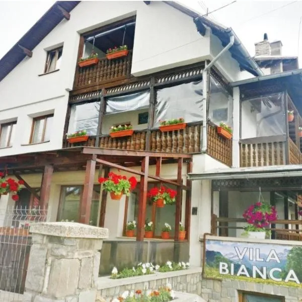 Vila Bianca、ブシュテニのホテル
