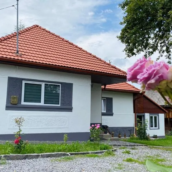 Anikó kulcsosház, hotel v destinaci Corund