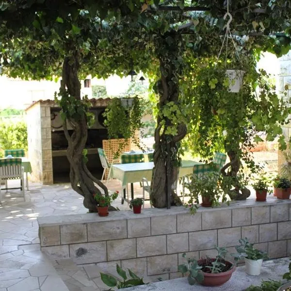 Pansion Drvo, hotel v destinaci Supetar
