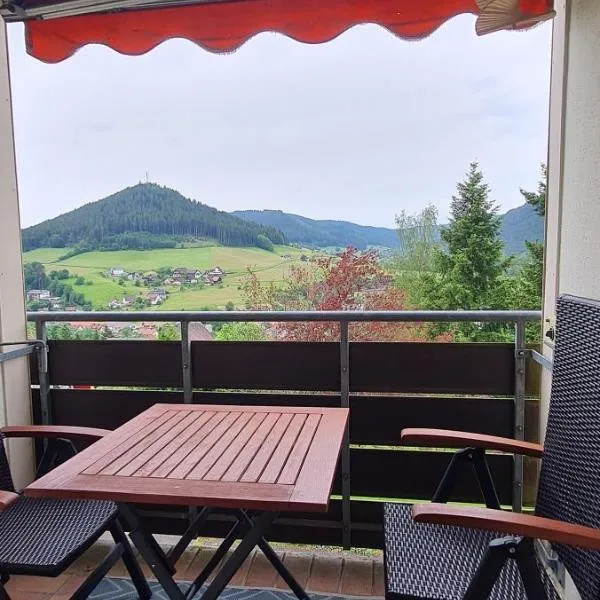 Ferienappartement in Black Forest, hotel a Baiersbronn