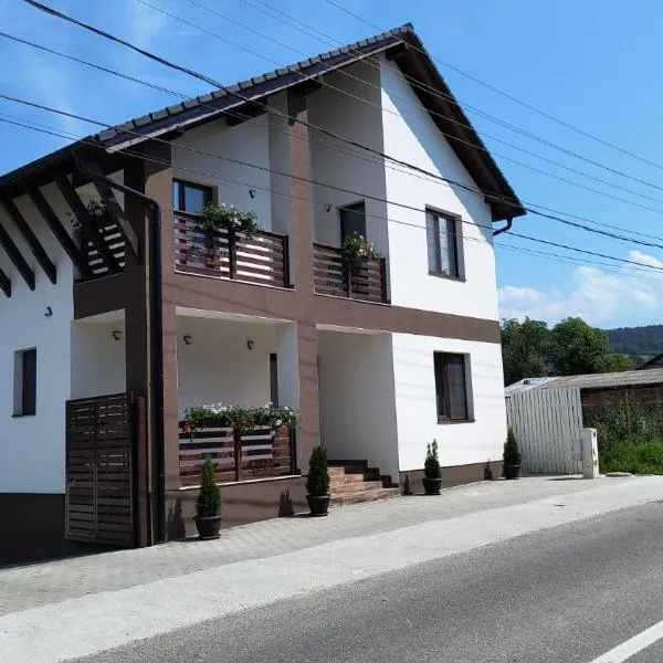 Pensiunea Anna, hotel in Răşinari