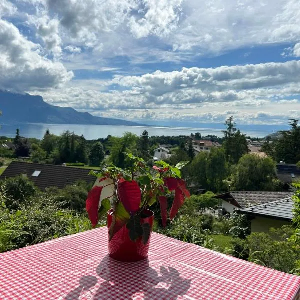L'Appart Riviera vue panoramique – hotel w mieście Saint-Legier-La Chiesaz