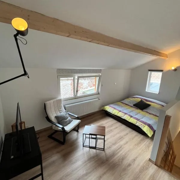 Le Chaufour Lille, hotel in Lille