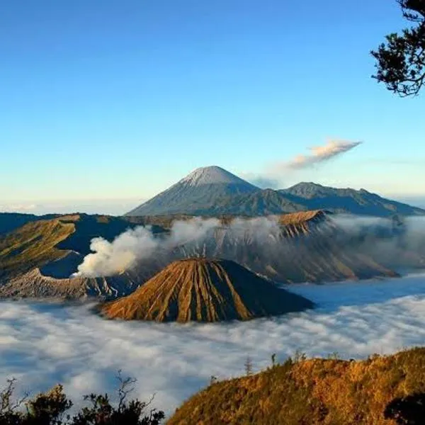 gigafa homestay, hotel v destinaci Probolinggo