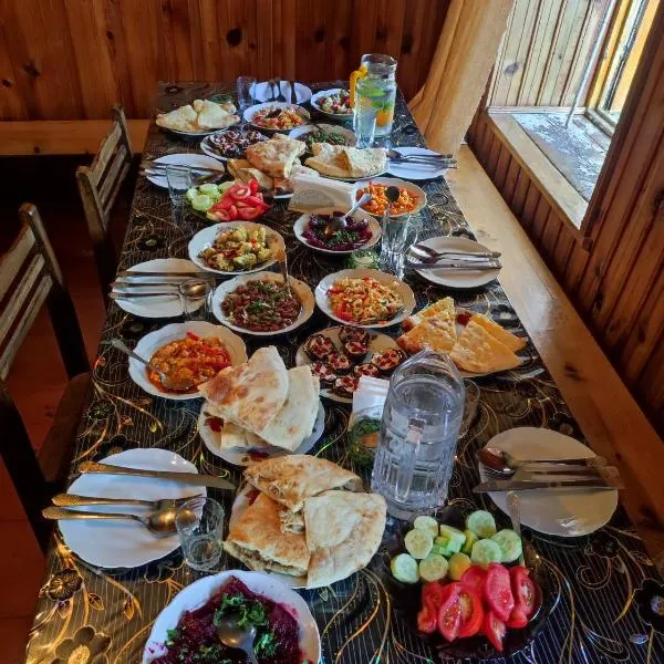 Adishi Zhora Kaldani Guest House โรงแรมในAdishi