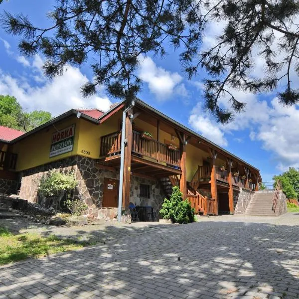 Penzión Hôrka, hotel ve Vinném