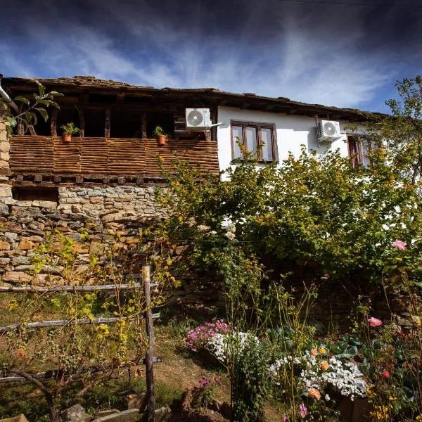 Porodična kuća Vitina Iža, hotel v destinácii Pirot