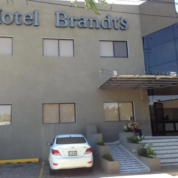 Hotel Brandts Ejecutivo Los Robles, מלון במנגואה