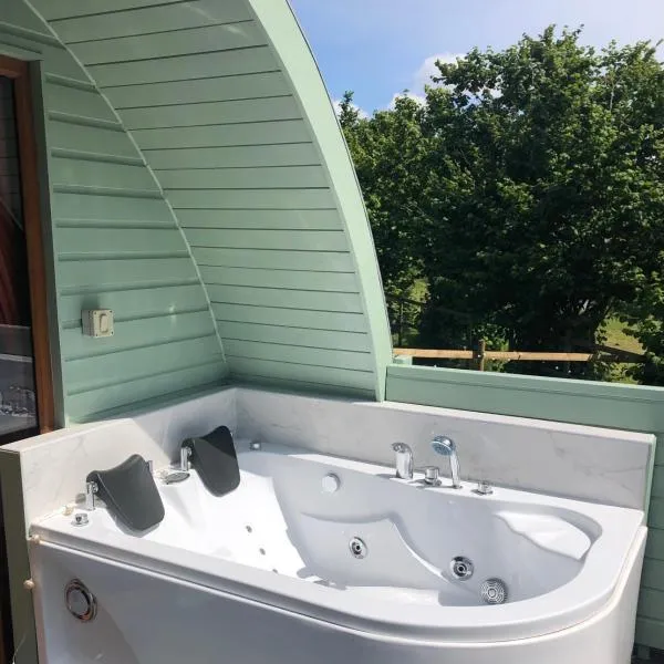 Colemans Cottage Fishery，位于Wickham Bishops的酒店