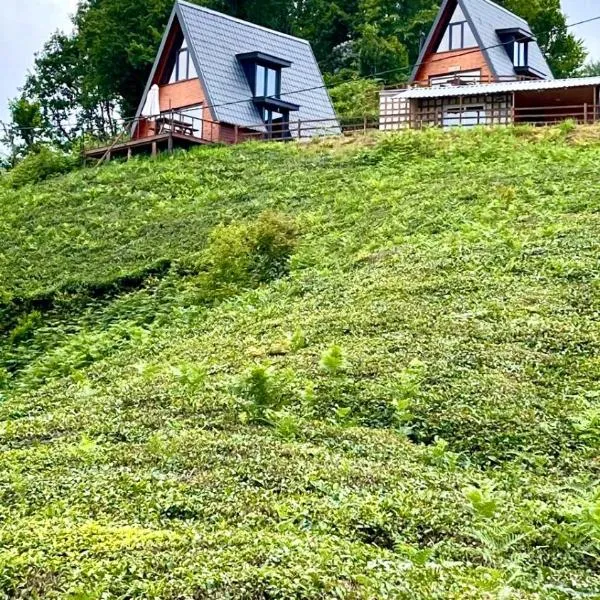Elit Bungalov, hotel Ardeşenben