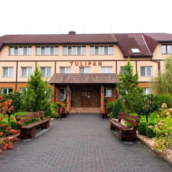 Tulipan Hotel Aquapark, hotel in Tyachiv