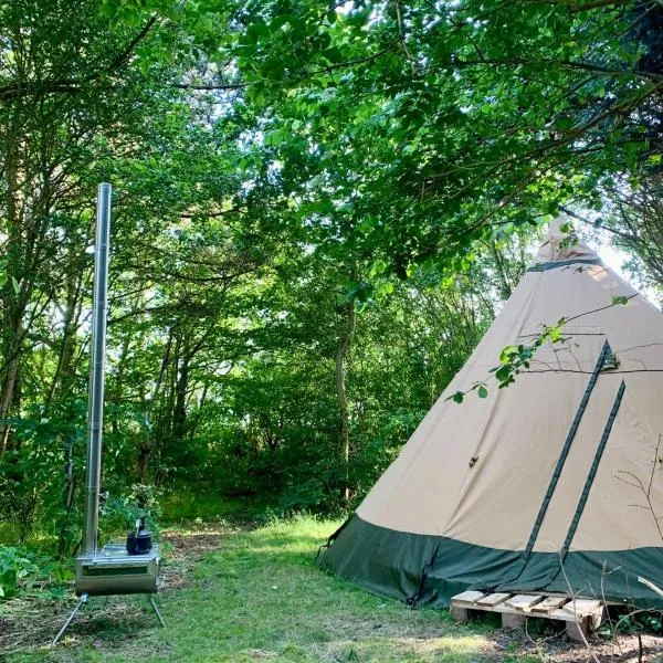 Kleine Tipi Texel, hotel v destinaci 't Horntje