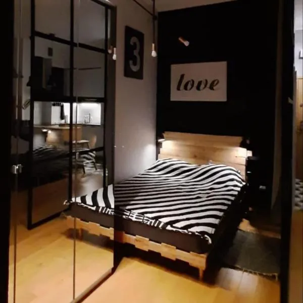 Apartament DANI, hotel in Nysa