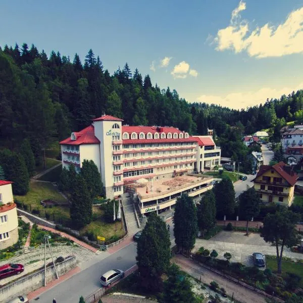 Geovita Krynica-Zdroj, hotel din Muszynka