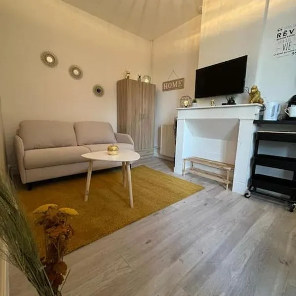 Gîte Le Nid Douillet 18m2 2 personnes, hotel in Douai