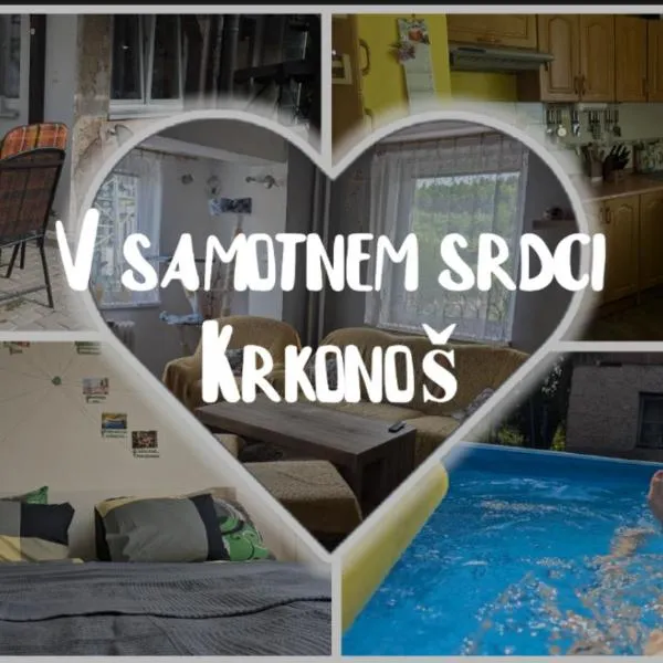 Ubytování Pod Něžnym Obrem, hotel v Hostinném