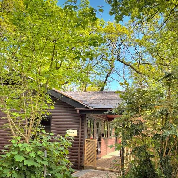Shrew Lodge-woodland Lodges-Hot Tub-Pembrokeshire-Tenby, hotel in Carmarthen