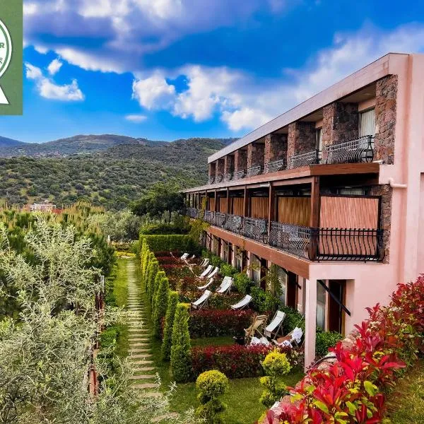 Assos Longevity Hotel, hotel v destinaci Sokakagzi