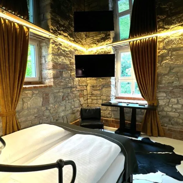 Historical Luxury Homes - Luxus Loft Wallstreet，位于弗莱堡的酒店